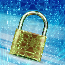 Information Technology and Cybersecurity