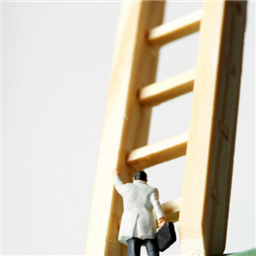 Professional Development 